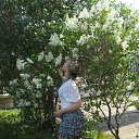 ���� �����, ��������, 43 ���� - ��������� 29 ������ 2012 � ������ ���� ����������