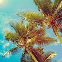 ���� �����, ������ - ��������� 5 ������ 2013 � ������ ������ ��������