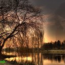 ���� Aziz, ������, 33 ���� - ��������� 19 �������� 2012 � ������ �������