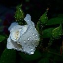 � �������� �������� � �������� vk.com/fotomimi �� ������� �� ��������� ����������