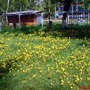 ���������� � ���� ����� �� ������� �������