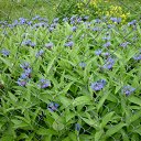 ���� ����@, ��������, 62 ���� - ��������� 30 ��� 2010 � ������ ��������� �������