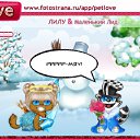   ,  -  29  2011   PetLove