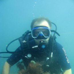 �������, ������, 49 ���