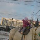 ���� ������, ����������, 44 ���� - ��������� 1 ����� 2012 � ������ ���� ����������