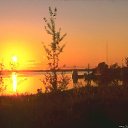  ,  , 33  -  28  2010   