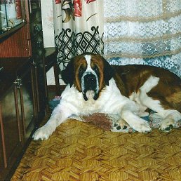 ���� ����, �������-���������, 48 ��� - ��������� 27 ������� 2013