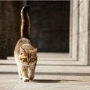 ���� �����, ������ - ��������� 26 ������ 2012 � ������ �����������