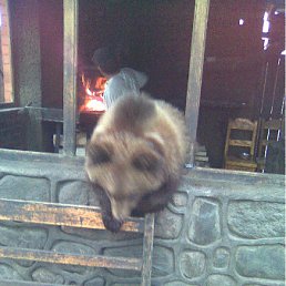 ���� �����, ���������, 67 ��� - ��������� 17 ������ 2011