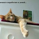 ���� �������, �����, 39 ��� - ��������� 2 ������ 2009 � ������ ��������� �����