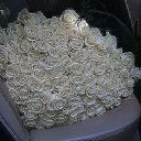���� ������, ��������, 39 ��� - ��������� 2 ������ 2012 � ������ �PetLove�