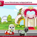 ���� ������ �����������, ������, 45 ��� - ��������� 25 ������ 2011 � ������ �PetLove�
