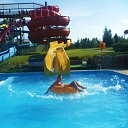 ���� ���������, �����-���������, 38 ��� - ��������� 10 �������� 2010 � ������ ������������ 2010.�