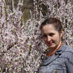 �����, ��������, 64 ����