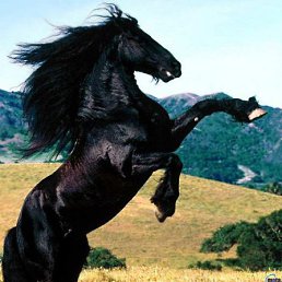 ������, ��������, 60 ���