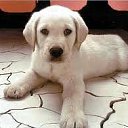 ���� &bull;&deg;&bull;&bull;���&bull;&deg;&bull;&bull;, �������, 24 ���� - ��������� 29 ���� 2012 � ������ ��������