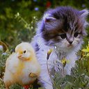 ����� ���������. �� ������� ���������� ������