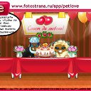 ���� ����������, �������, 26 ��� - ��������� 11 ������� 2010 � ������ �PetLove�