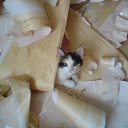 ���� Hell Girl, ���������, 31 ��� - ��������� 22 ������� 2010 � ������ ��������� ���