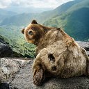 ���� ����, �����������, 39 ��� - ��������� 11 ������� 2011 � ������ �PetLove�