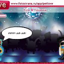  ,   -  3  2010   PetLove