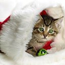 ���� ��� ����� :D, ����� - ��������� 2 ������� 2012 � ������ ���� ����������