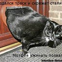 ���� ˸��, ����, 44 ���� - ��������� 26 ���� 2012 � ������ ������