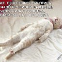 ���� ������, ������, 46 ��� - ��������� 5 ������ 2010 � ������ ������))�