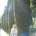 ���� �������, �������, 66 ��� - ��������� 5 ������ 2013 � ������ ���� ����������