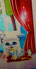 ���� ������, ����� - ��������� 6 ��� 2010 � ������ ���� ��������