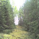 ���� �����, �����-���������, 59 ��� - ��������� 30 ����� 2010 � ������ ��������