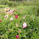 ���� �����, ����, 59 ��� - ��������� 8 ������� 2012 � ������ ��� ������=)�