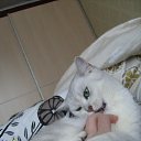 ���� ��� ����, ������, 24 ���� - ��������� 25 ����� 2010 � ������ ���� �����