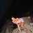 ���� ⛓Missis⛓, ��������������, 50 ��� - ��������� 3 ������� 2012