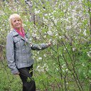 ���� ������, ������, 73 ���� - ��������� 18 ������ 2012 � ������ ���� ����������