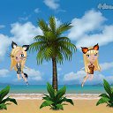 � �� ������� �Tropikania�