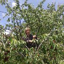 ���� �����, ������, 53 ���� - ��������� 4 ������� 2012 � ������ ���������� ������