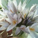 ���� ������, ������� - ��������� 24 ����� 2010 � ������ ���� ���