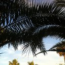 �������-������� ������ �� ������� ����� ��� ������������