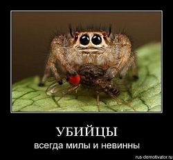 ���� ������ �, ���������, 39 ��� - ��������� 25 ������� 2012
