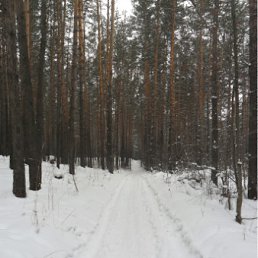 ���� �������� ���, ��� ����, �����������, 39 ��� - ��������� 8 ������ 2012