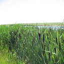 ���� Natali, ������� - ��������� 24 ���� 2010 � ������ ��������������)�