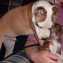 ���� �������, �����, 63 ���� - ��������� 14 ������ 2009 � ������ �������