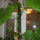 ���� �������, �������, 58 ��� - ��������� 25 ������� 2012 � ������ ��� �� ��� ������ �����������