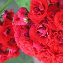 ���� ���, ����� - ��������� 7 �������� 2010 � ������ ��������� ������������