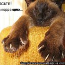 ���� �����, ������ �����, 50 ��� - ��������� 2 ������ 2009 � ������ ��������� ��������