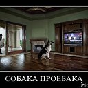 ���� ������, ������, 35 ��� - ��������� 23 ��� 2013 � ������ ���� ����������