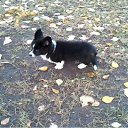 ���� ����! ���, ������������, 52 ���� - ��������� 23 ������� 2011 � ������ ��������