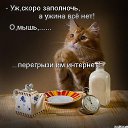 ���� �����, ��������, 41 ��� - ��������� 2 ������� 2012 � ������ �������ۻ