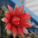 ���� ������, ������, 69 ��� - ��������� 5 ������ 2013 � ������ ���� ��������� ����������